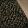 Rohi Arco Pond green-brown