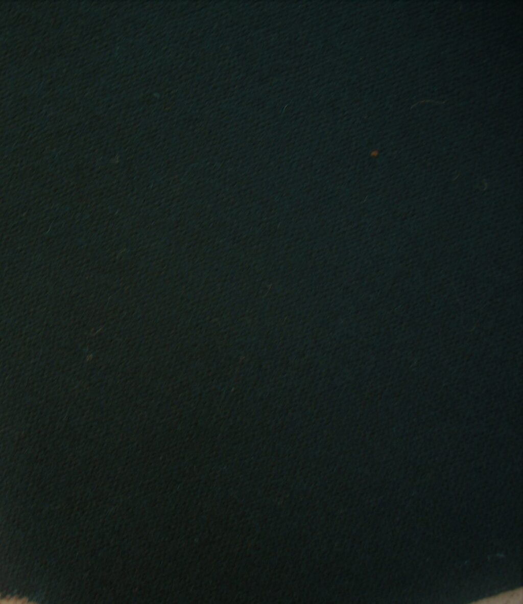 Kvadrat Forest Nap 992 dark green