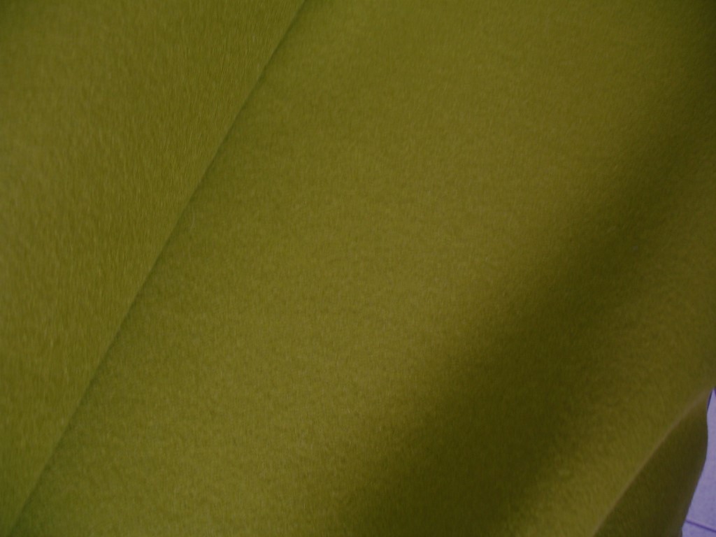 Camira Blazer CUZ53 green