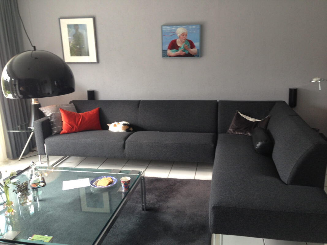 Stof voor Design Artifort Kvadrat Divina