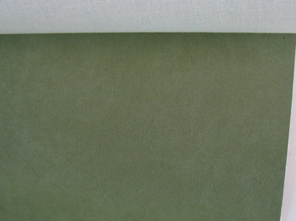 Alcantara 1385419 green