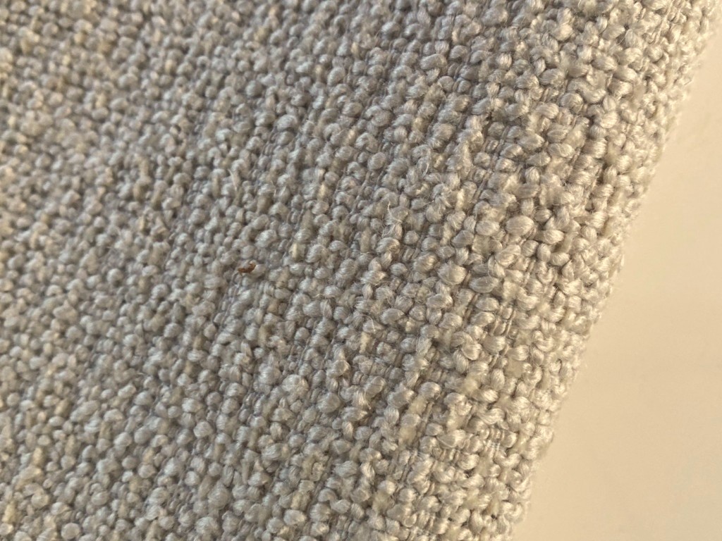 De Ploeg Serra 00 cream