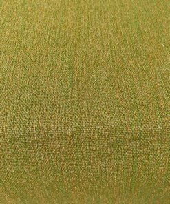 Montis Miura 22 green camel