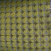 Limonta Frangola 21 green-yellow